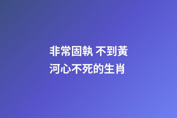 非常固執 不到黃河心不死的生肖